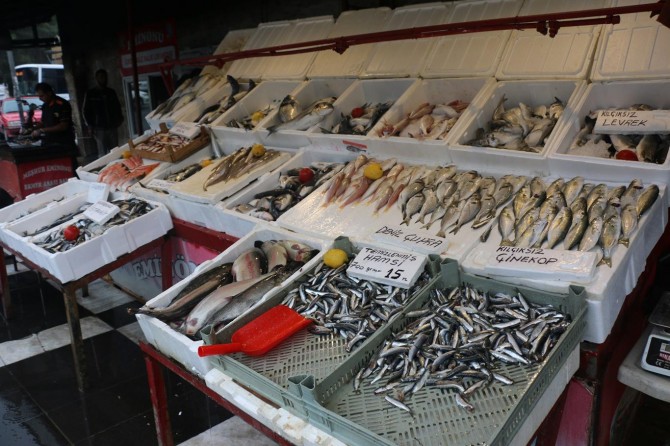 Havaların soğumasıyla birlikte balık satışları arttı