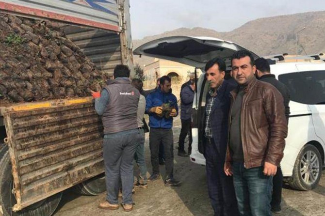 Batman Hasankeyf'te çiftçilere 10 bin fıstık fidanı dağıtıldı