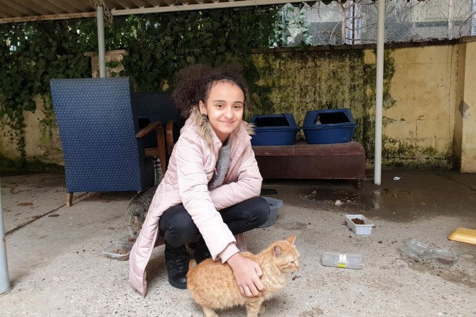 Kedisi ağaçta mahsur kalınca Vali’den yardım istedi