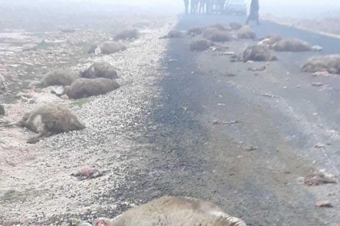 Serwîsa mektebê li kerîyê pez qelibî: 9 mamoste birîndar bûn