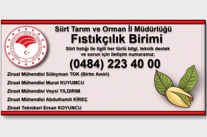 Alo Siirt fıstığı hattı hizmete girdi