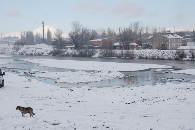 Ağrı'da 79 köy yolu ulaşımı kapandı
