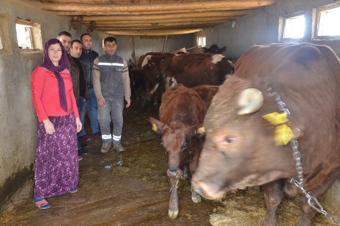 Genç çiftçilere destek umut kapısı oldu