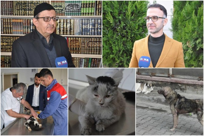 Hayvanlara yönelik kötü muamele gün geçtikçe yaygınlaşıyor