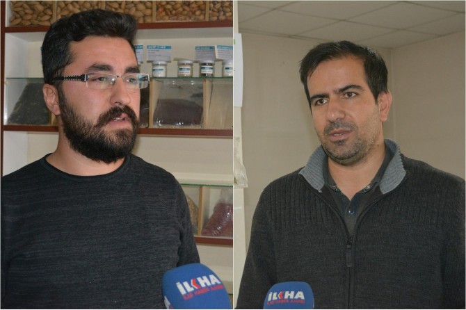 Üzüm verimini olumsuz etkileyen külleme hastalığına mücadele