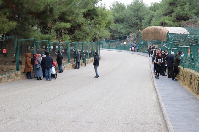 Gaziantep Hayvanat Bahçesine rekor ziyaretçi
