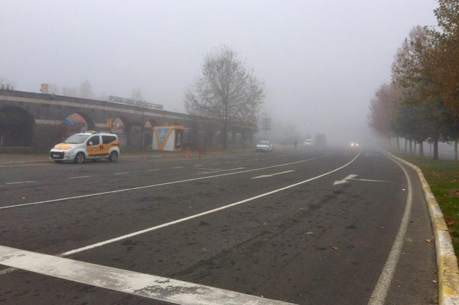 Diyarbakır'da yoğun sis