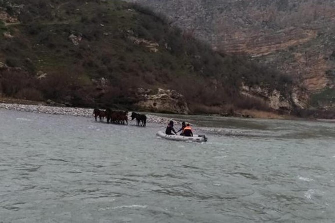 Botan Çayı'nda mahsur kalan atlar kurtarıldı