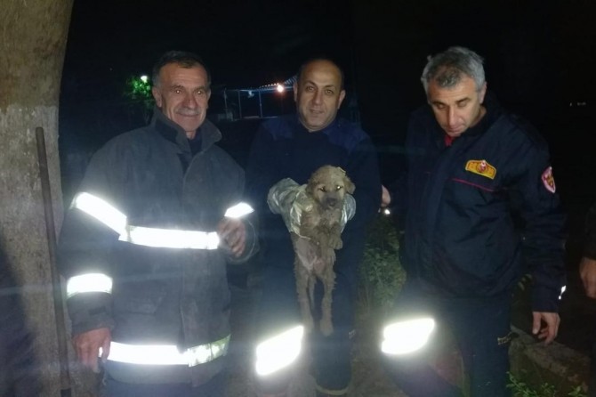 Su tahliye borusunda mahsur kalan köpek kurtarıldı