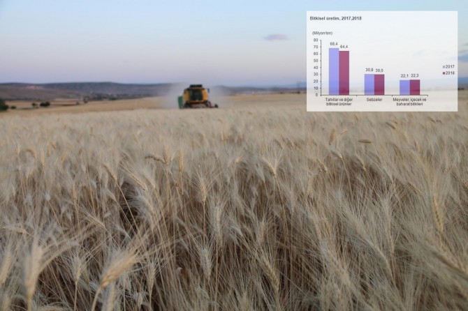 Tahıllar ve diğer bitkisel ürünler ile sebzelerde üretim azaldı