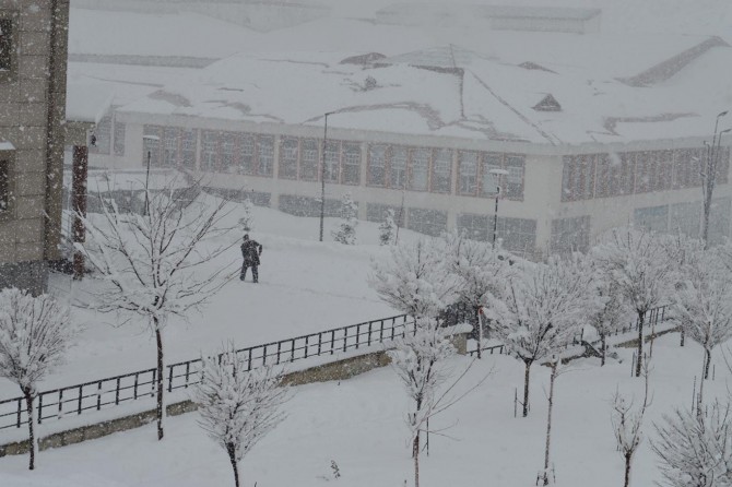 Bitlis yeniden yoğun kar yağışının etkisine girdi