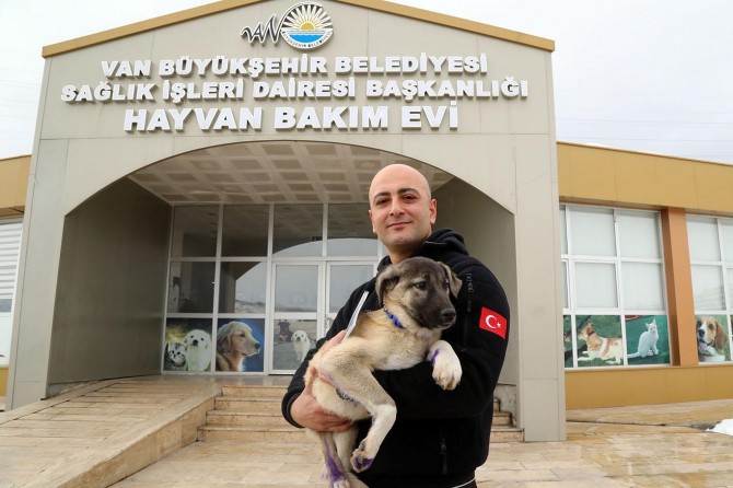 Van’da kurtardığı köpeği sahiplendi