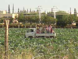 Sınırı Geçmek İsteyen Suriyeli Aileye İzin Verilmedi (Foto)
