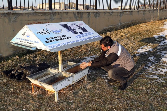 Van'da yaban ve sokak hayvanlarına yem ile mama bırakıldı