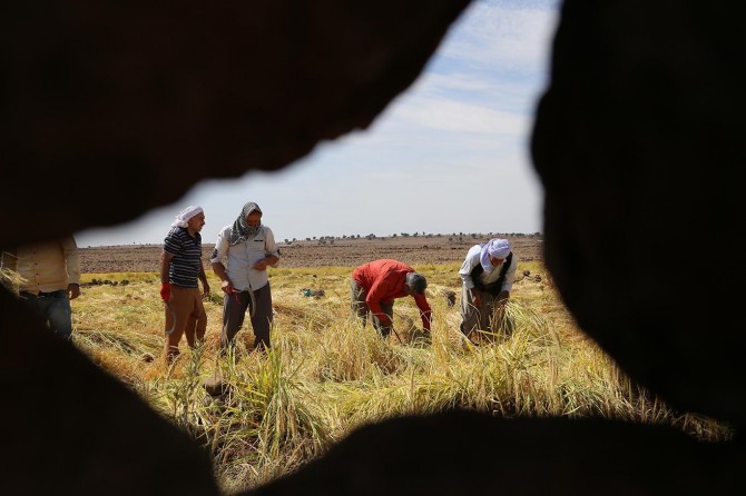 Tarım BAĞ-KUR primine getirilen zam çiftçiyi zora sokacak