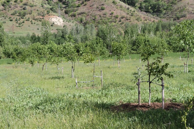 Bingöl’de 2018 yılında üreticilere 74 milyon TL destekleme yapıldı