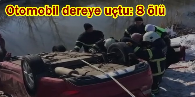 Otomobil dereye uçtu: 8 ölü