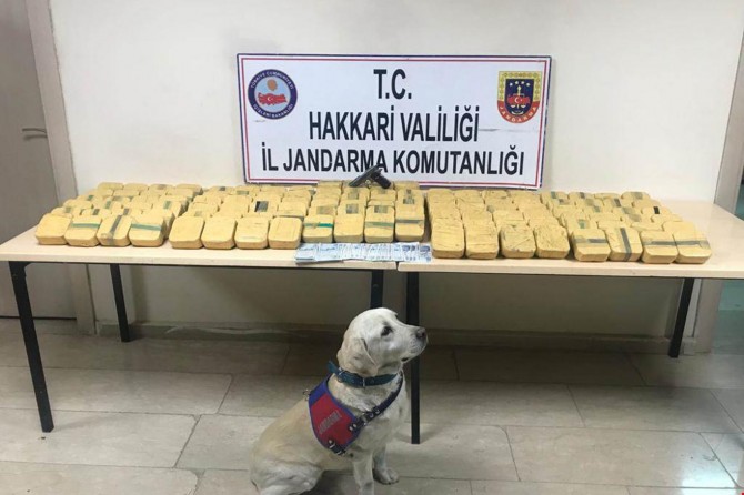 Hakkâri Yüksekova'da PKK'nin finansman kaynağına operasyon