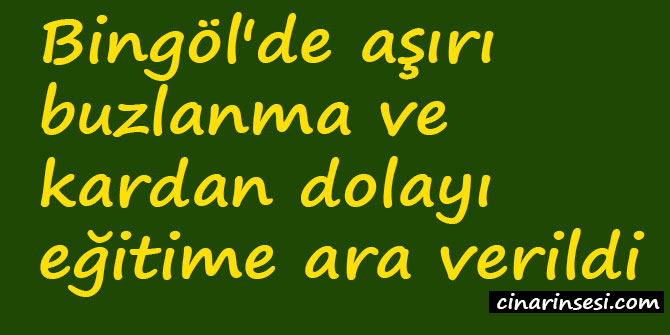 Bingöl'de aşırı buzlanma ve kardan dolayı eğitime ara verildi
