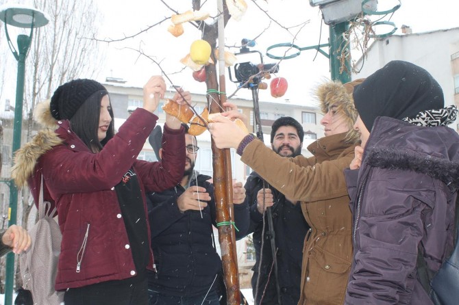 Muş'ta öğrenciler kuşlar için ağaçları elmalarla donattı
