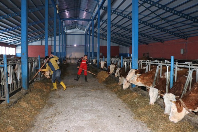 2018 yılı hayvan üreticileri için bir kriz yılı oldu