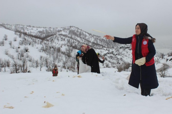 Yaban hayvanları için doğaya yem bıraktılar