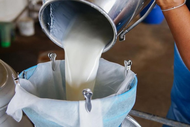 İçme sütü üretimi azaldı