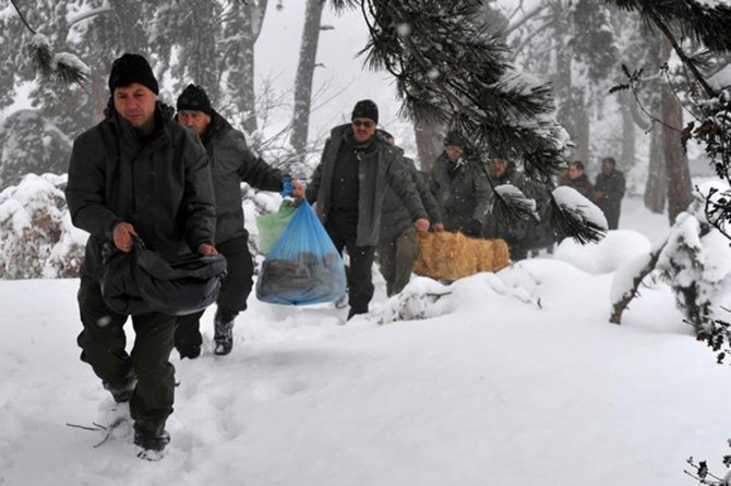 Yoğun kar ve dondan etkilenen yaban hayvanlarını yemleme çalışması