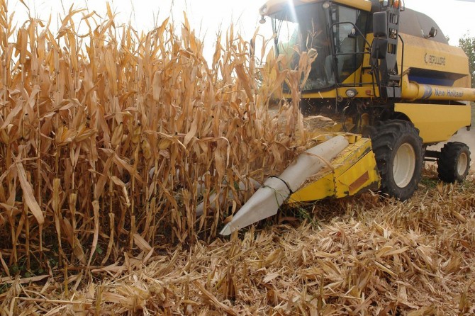 Diyarbakır'da çiftçilere destekleme ödemesi yapılacak