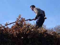 Hayvan Sahipleri Kış Hazırlıklarına Başladı (Video)