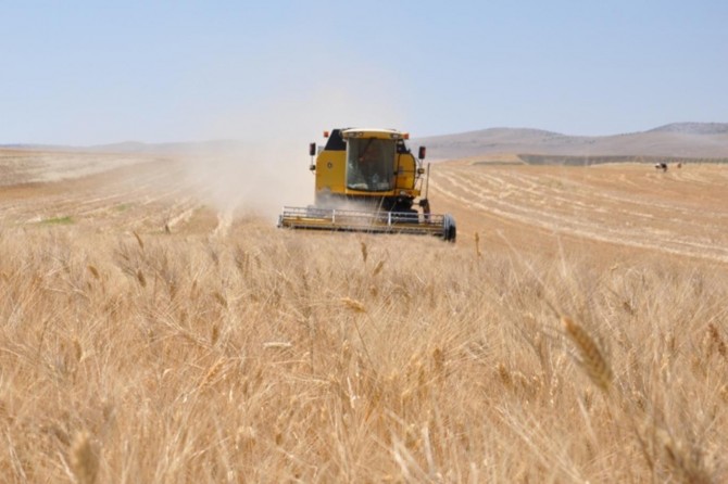 Tereddüde düşen çiftçi üretimden vazgeçecek