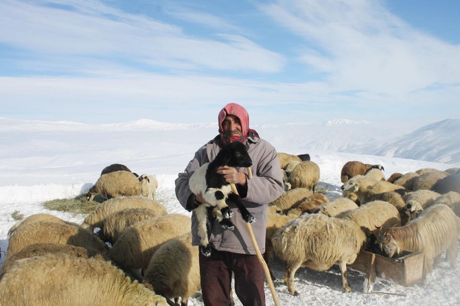 ​Besiciler yem fiyatlarından şikâyetçi