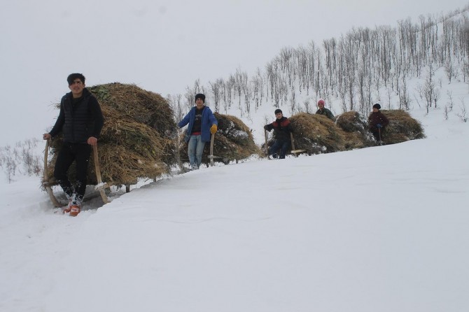 The villagers rough journey through sleds