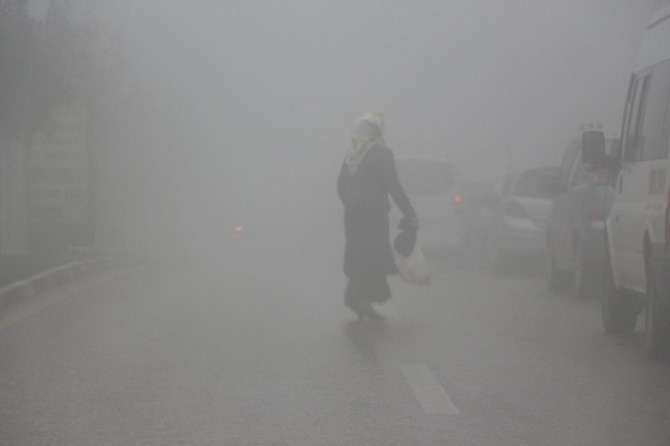 Mardin’de yoğun sis