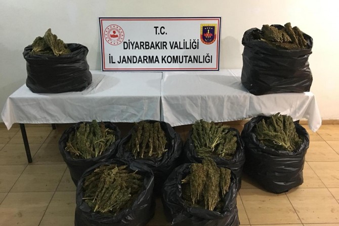 Di lêgerîna rê de 87 kîlo esrar hat bidestxistin