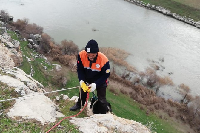 Uçurumda mahsur kalan keçi kurtarıldı