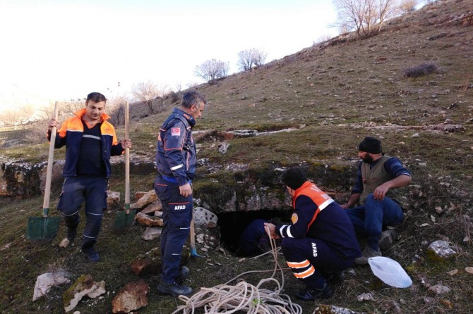 Mağarada mahsur kalan at kurtarıldı