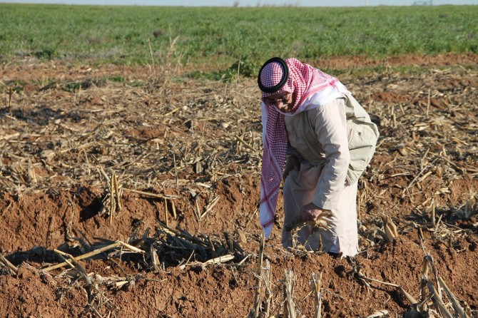 Mardinli çiftçiler: Perişan haldeyiz
