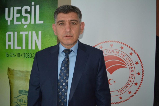 Batman'da fıstık dikim alanları 60 bin dekarı buldu