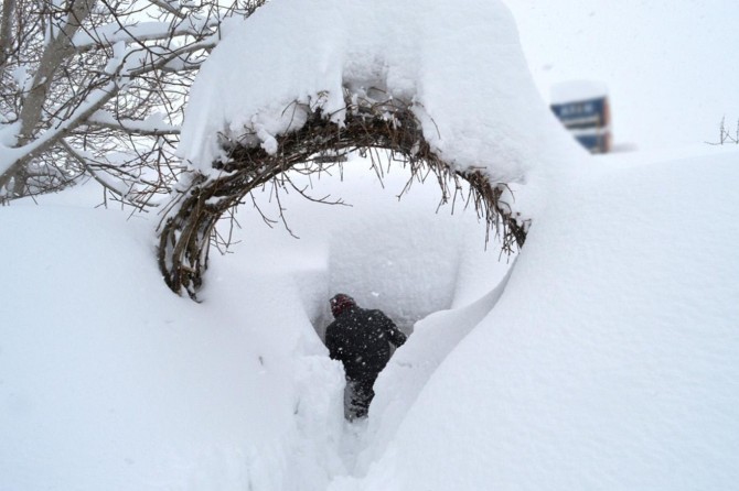 Şırnak ve Hakkâri için yoğun kar ve çığ uyarısı