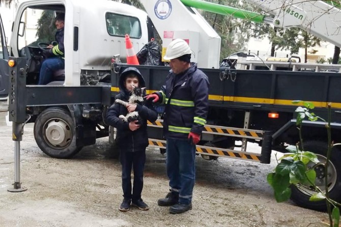 ​Gaziantep'te ağaçta mahsur kalan kedi kurtarıldı