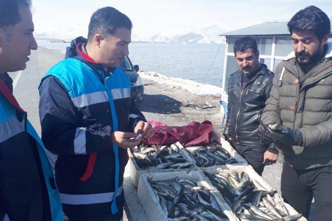 Balıkçılık ürünlerinde tazelik denetimleri