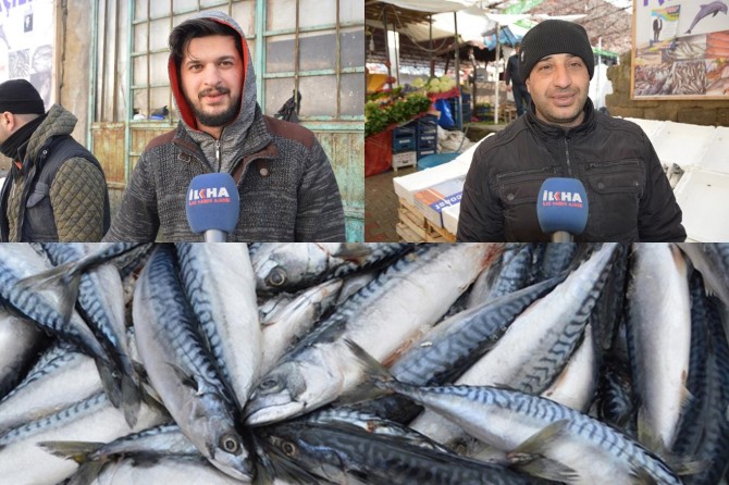 Yöremizde balık tüketme kültürü yok