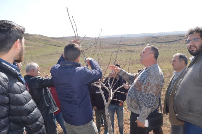 Hedefimiz bir yılda yüz budama ve aşılama ustası yetiştirmek
