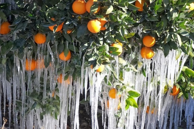 Meteorolojiden zirai don ve fırtına uyarısı