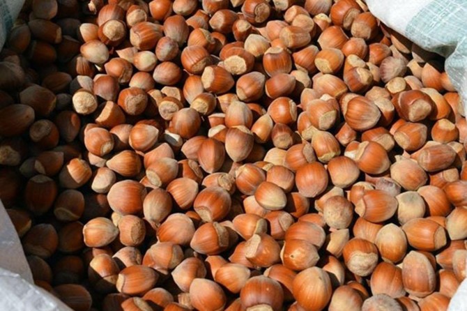 Îxracata findiqan kêm bû