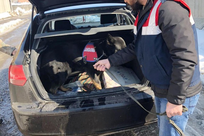 Çeşitli suçlardan aranan 12 şüpheli tutuklandı