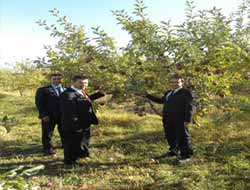 Elma Entegre Üreticilerine Sertifikaları Verildi