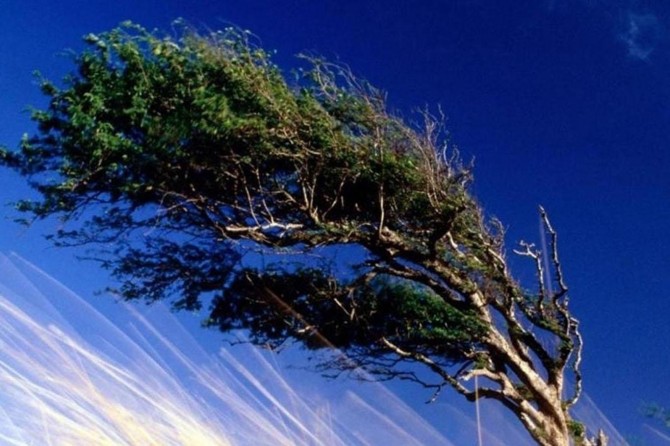 Doğu ve Güneydoğu Anadolu'da kuvvetli rüzgâr etkili oluyor