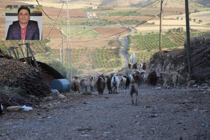 Pahalılığı önlemek tersine göçle mümkün